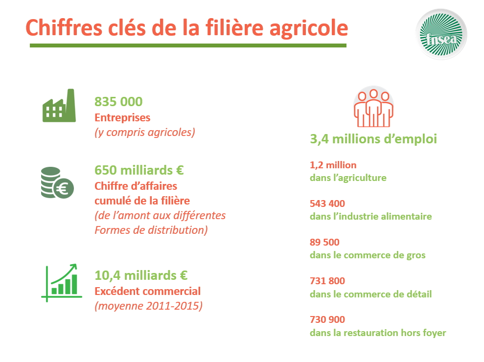 Chiffres clés de la filière agricole