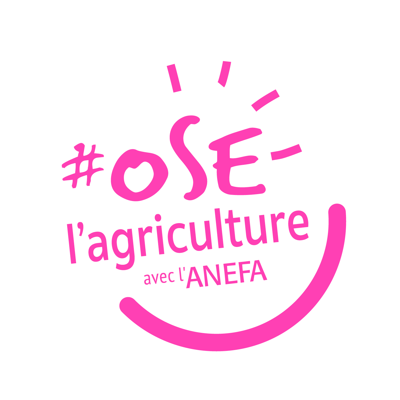 Logo Anefa